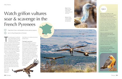 Lonely Planet The Joy of Birdwatching