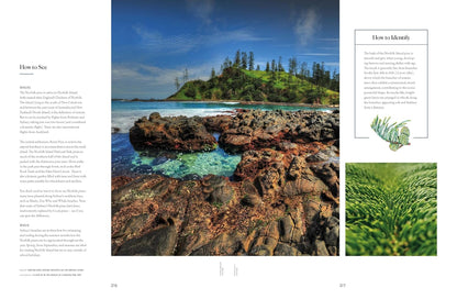 Lonely Planet The Tree Atlas
