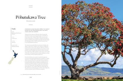 Lonely Planet The Tree Atlas