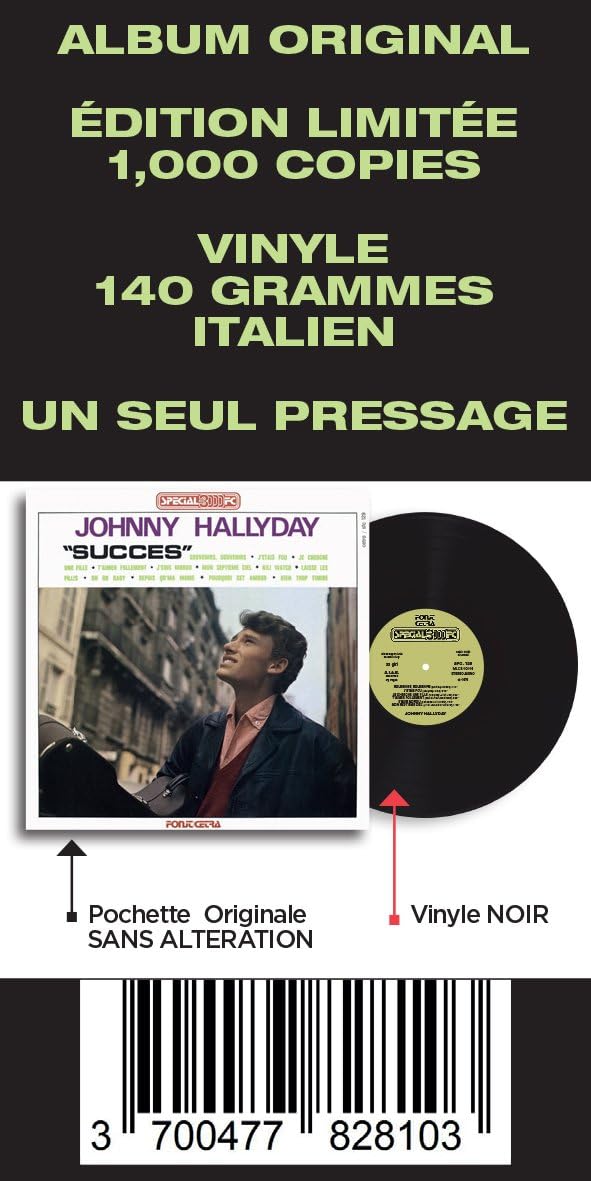Vogue Made in Italie: Success