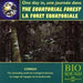 One Day in the Equatorial Rainforest (Congo)