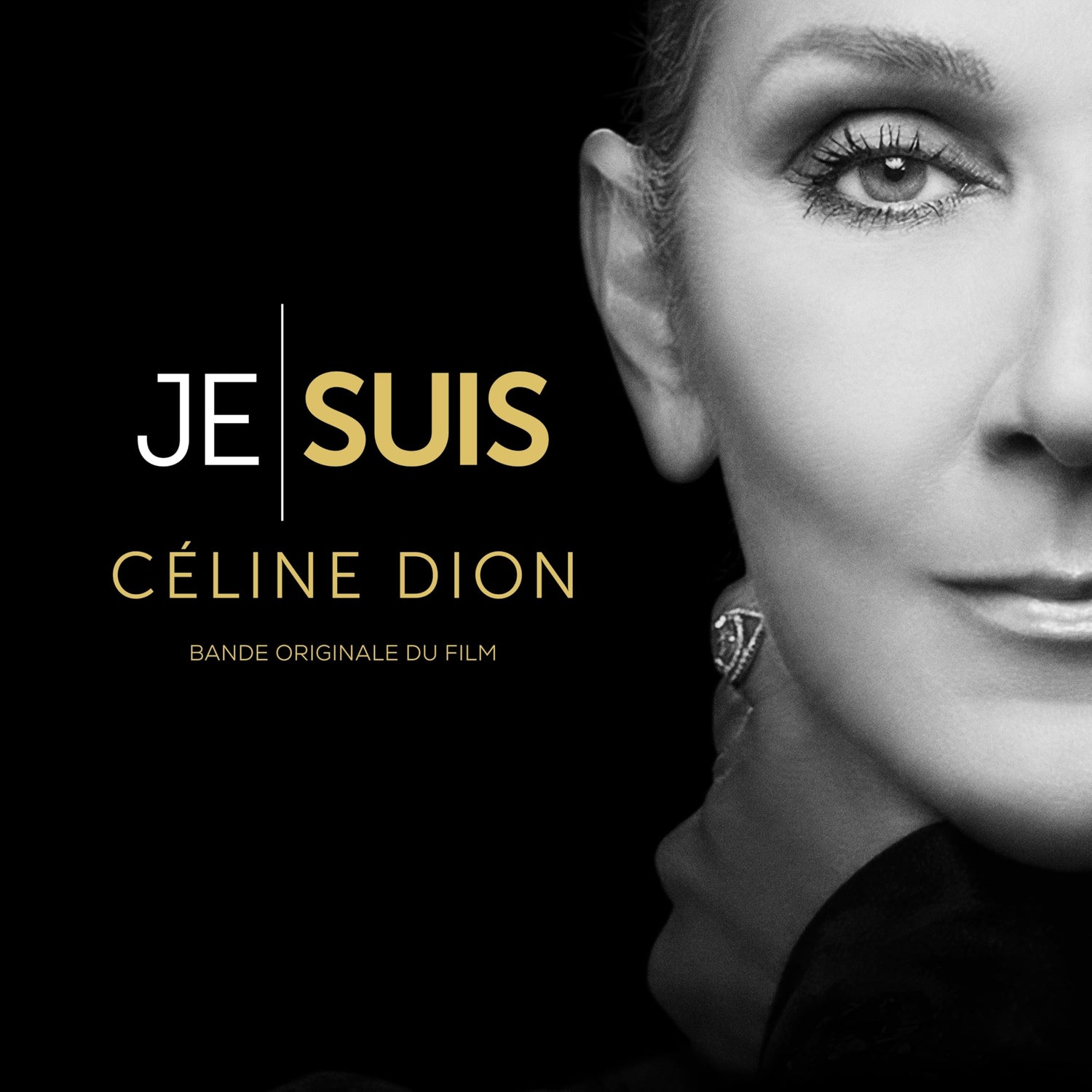 Je Suis : Céline Dion (Bande Originale du Film