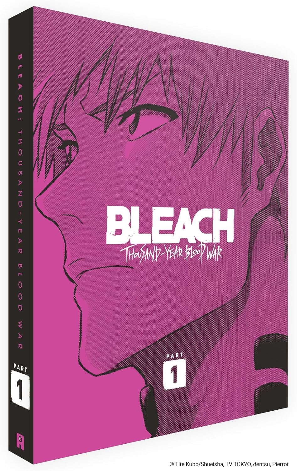 Bleach Thousand Year Blood War - Part 1 (Limited Collector's Edition)