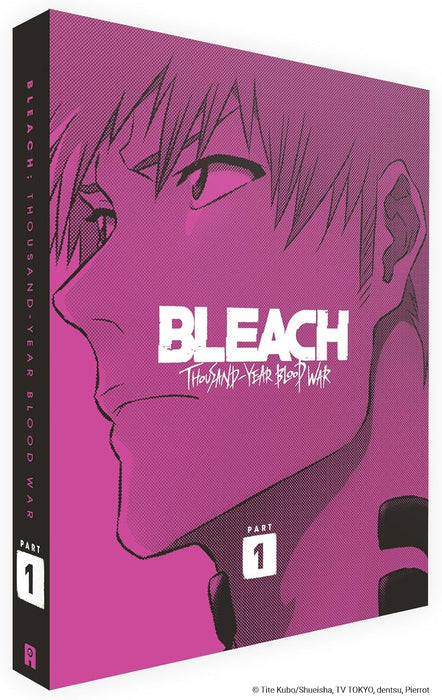 Bleach Thousand Year Blood War - Part 1 (Limited Collector's Edition)