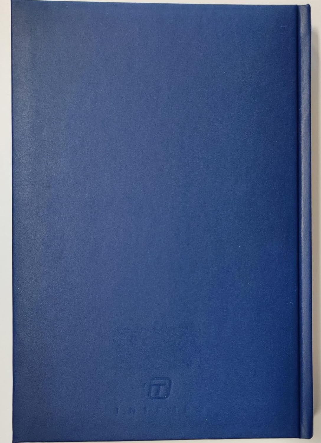 Intempo Tageskalender 2024, 15 x 21 cm (Blau