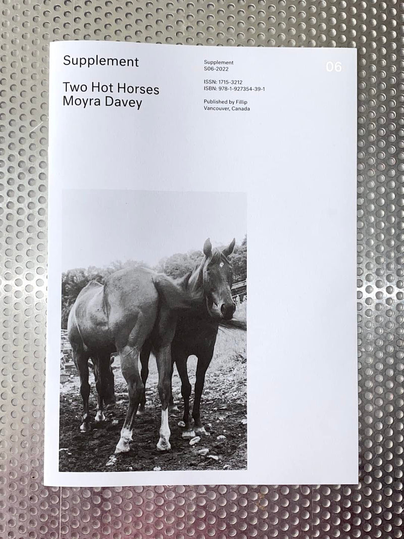 Supplement 6: Two Hot Horses