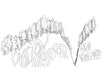 The Valley