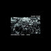 Cryonics: 1989-1992