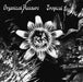 Tropical Stumble/Dans Les Profondeurs