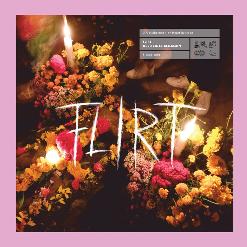 Flirt Vs Orbitcinta Benjamin (Pink)