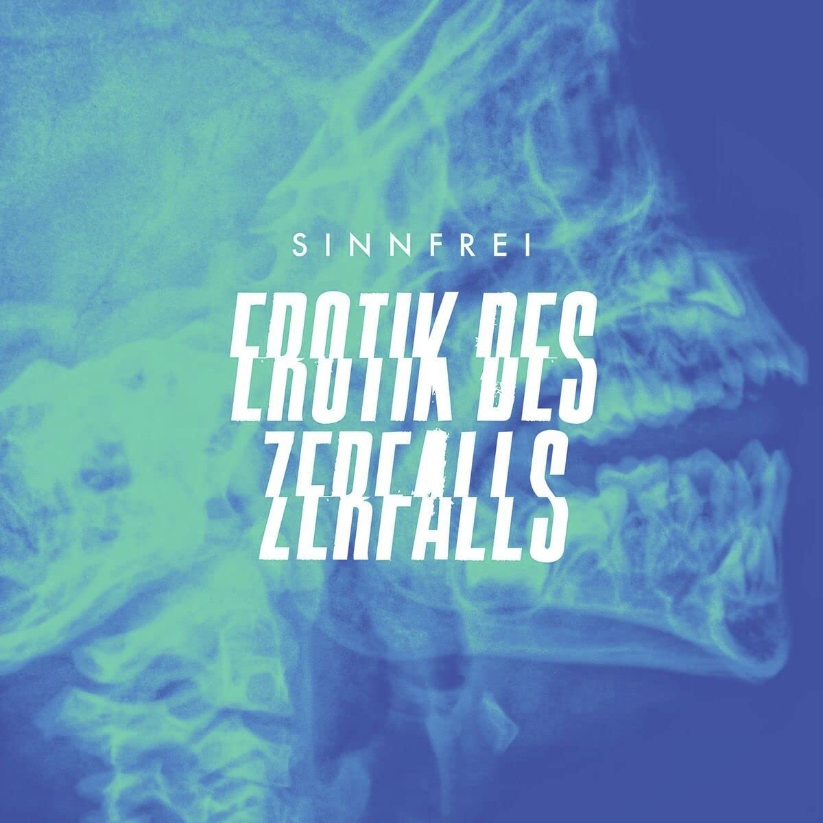 Erotik Des Zerfalls (180Gr./Booklet/Download