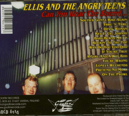Ellis & The Angry Teens - Can You Hear The Sound