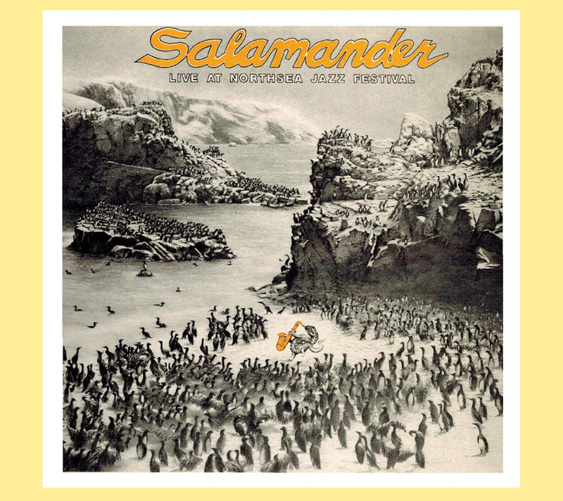 Salamander - Live At Northsea Jazz Festival