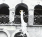 Musicanti Del Piccolo Borgo - Ecchite Maje
