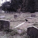 Super Cadaver