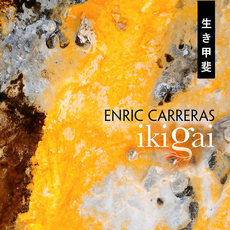 Ikigai R