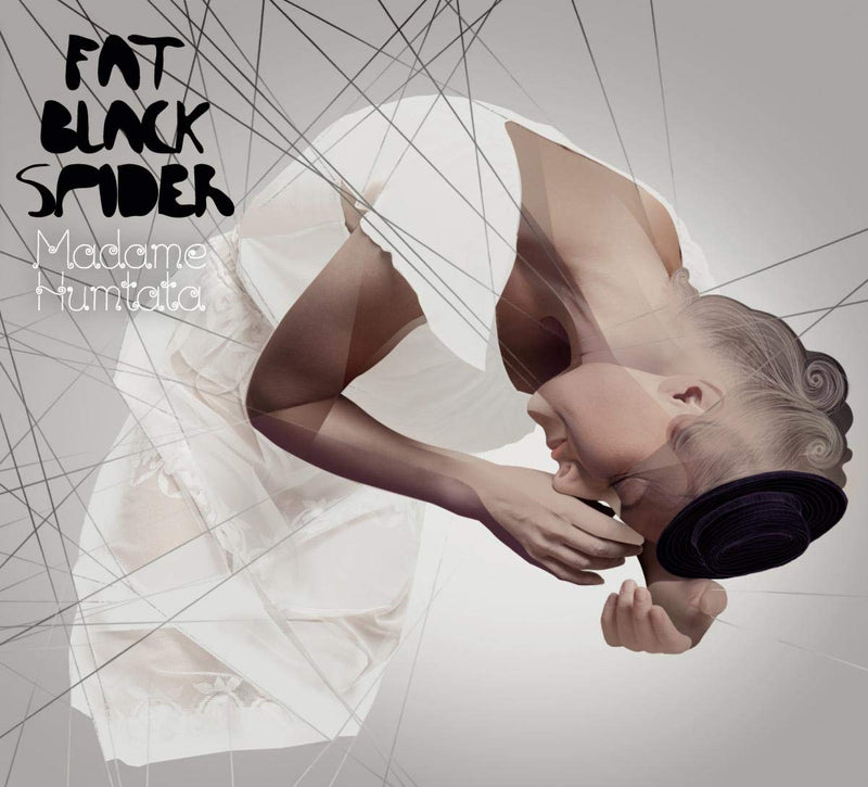 Fat Black Spider