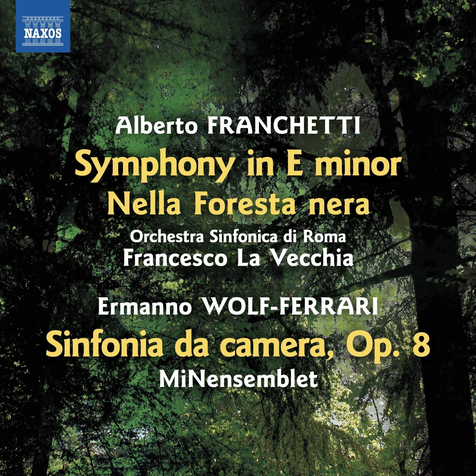 Alberto Franchetti: Symphony in E Minor/Nella Foresta Nera: Ermanno Wolf-Ferrari: Sinfonia Da Camera, Op. 8