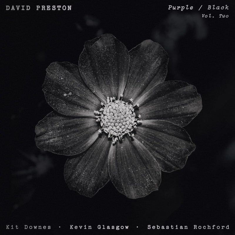 Volume 2 - Purple/black
