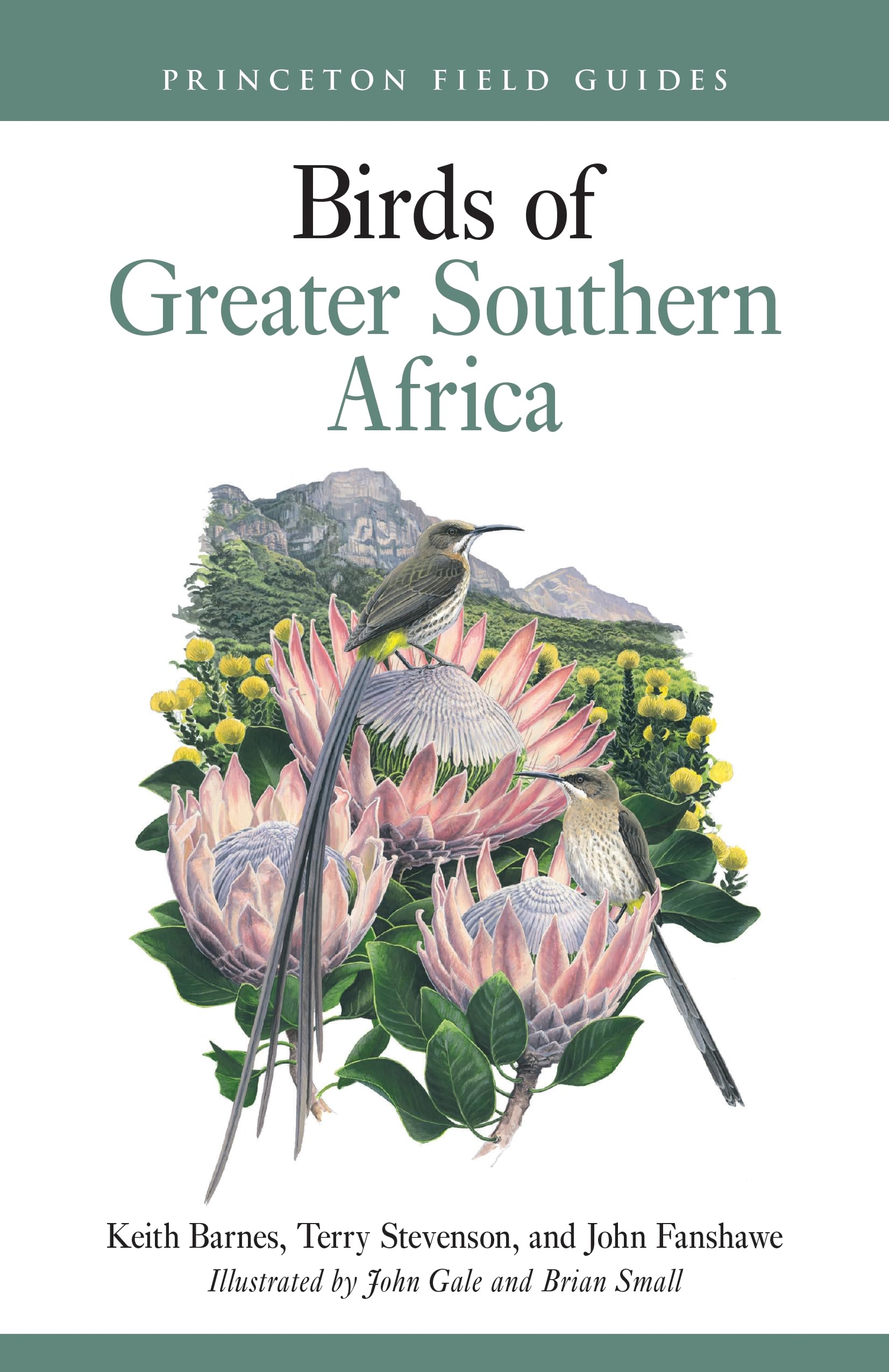 Birds of Greater Southern Africa: 163 (Princeton Field Guides