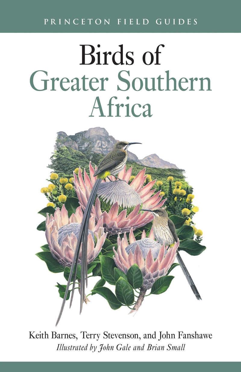 Birds of Greater Southern Africa: 163 (Princeton Field Guides