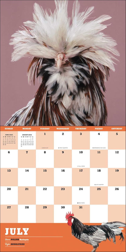 Extraordinary Chickens 2025 Wall Calendar