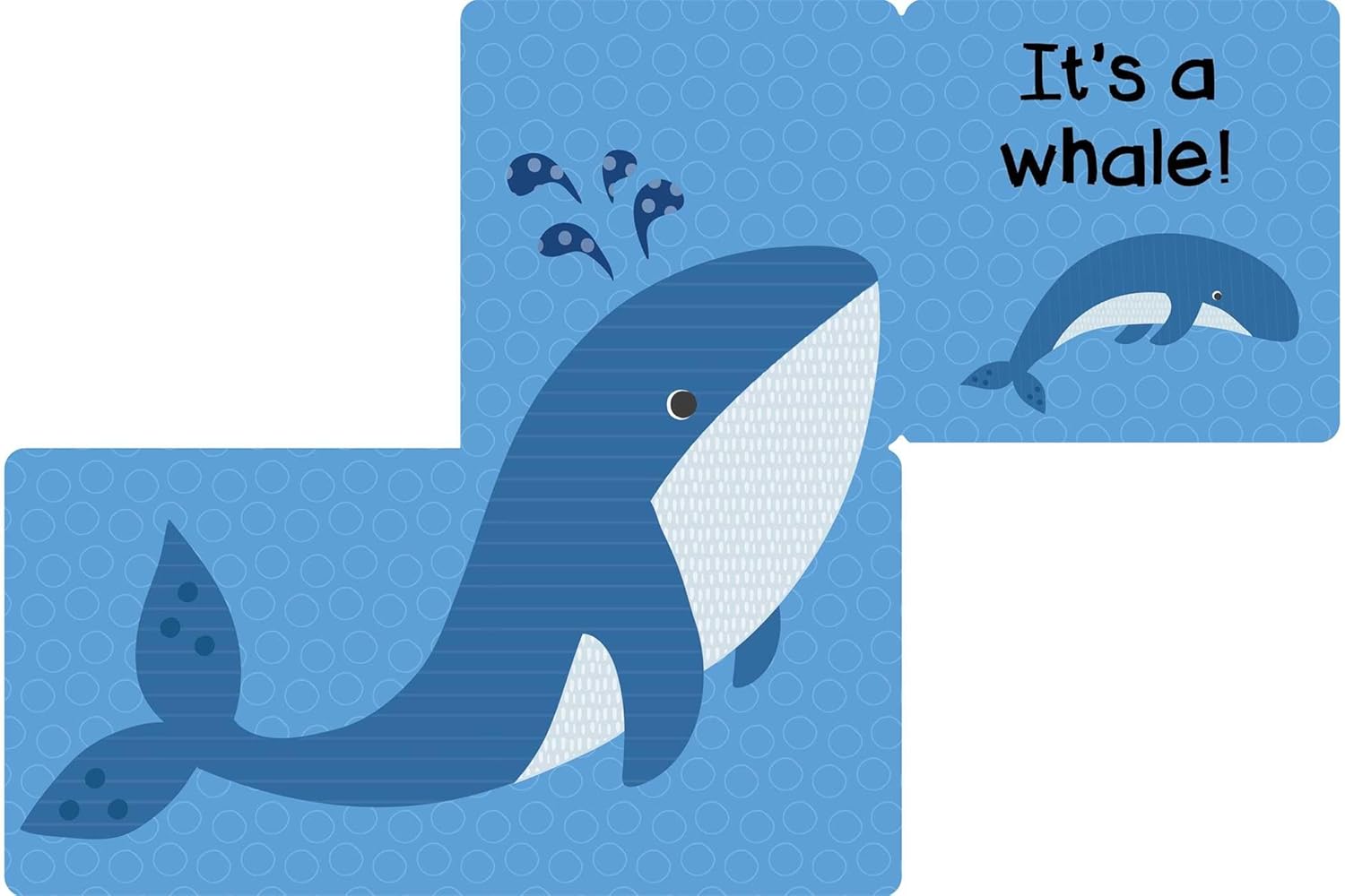 Who Am I? Under the Sea