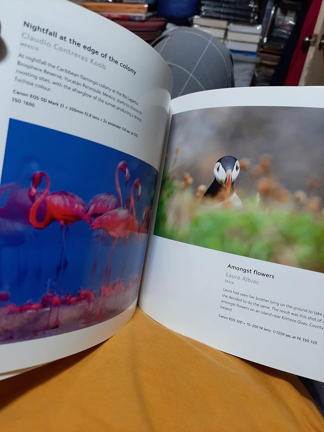 Wildlife Photographer of the Year 2015 Highlights