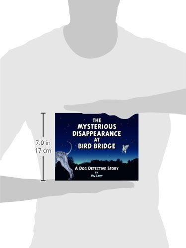 Mysterious Disappearance at Bird Bridge