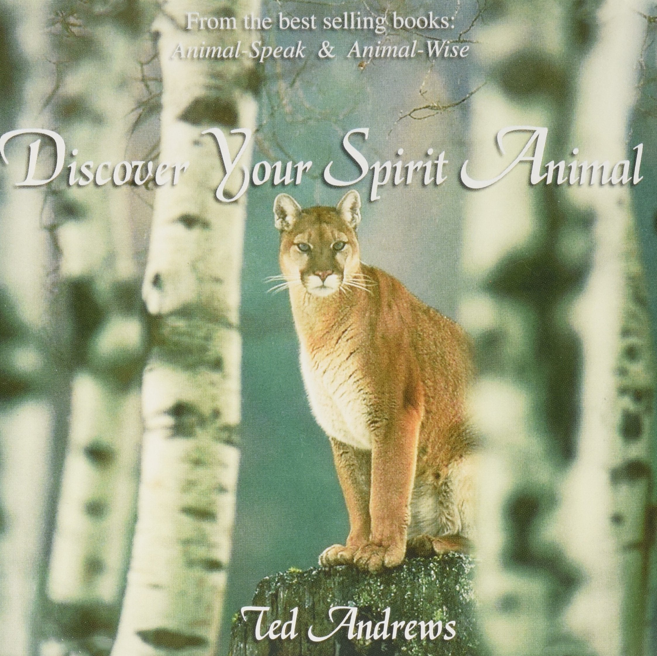 Discover Your Spirit Animal