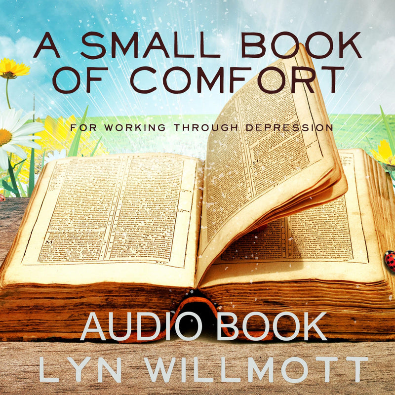 A Small Book of Comfort