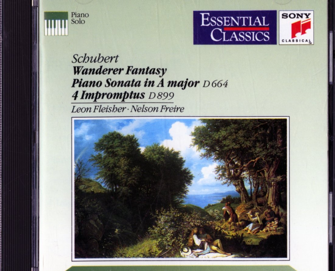 Wanderer Fantasie