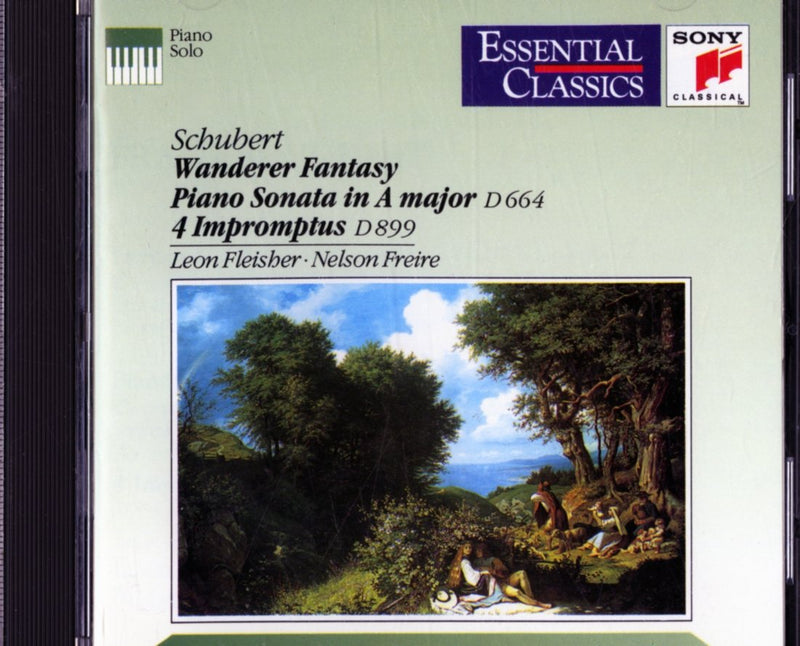Wanderer Fantasie