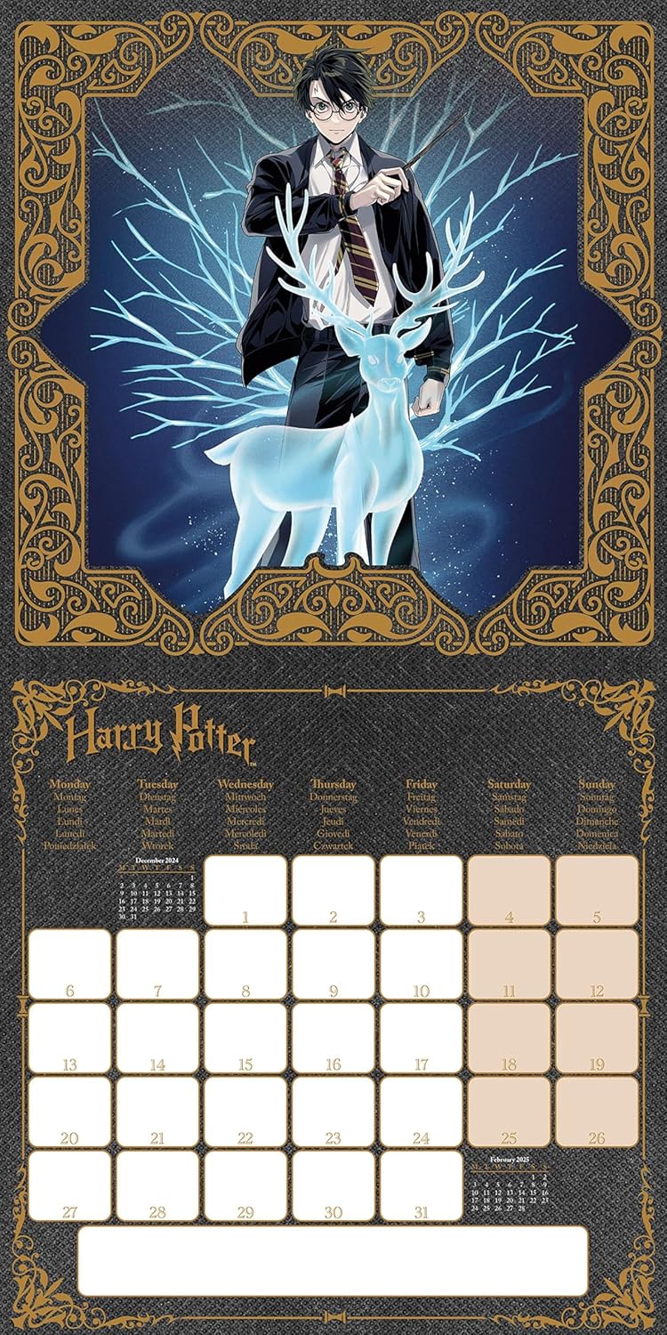 Harry Potter (Magical) 2025 30X30 Broschürenkalender