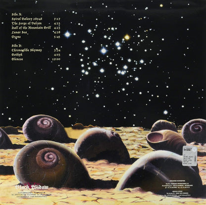 Spiral Galaxy Revisited
