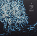 A Tree Of Night