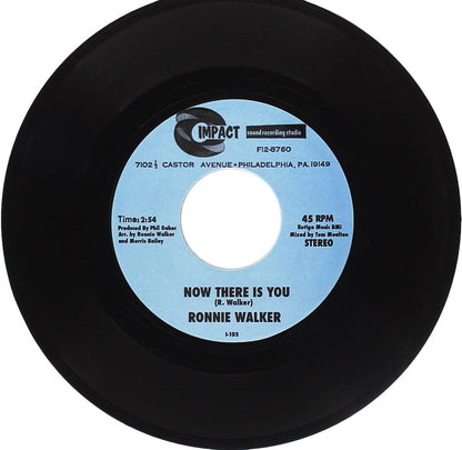 Nothing'S Gonna Change/Now There Is You