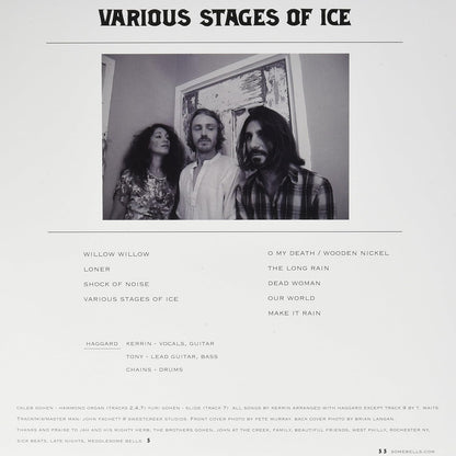 Various Stages of Ice