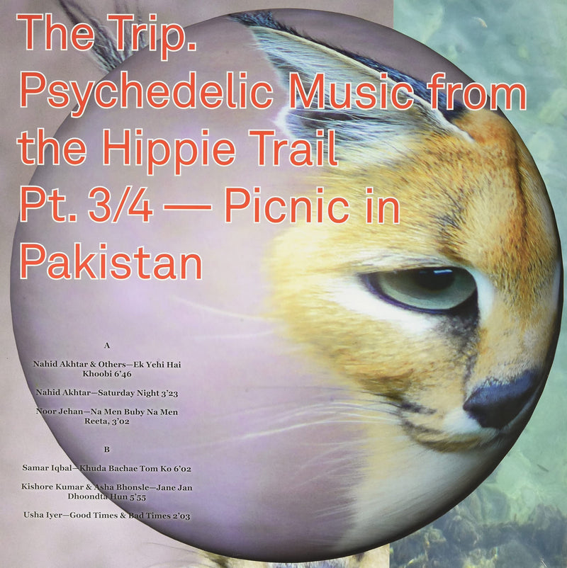 The Trip 3/4