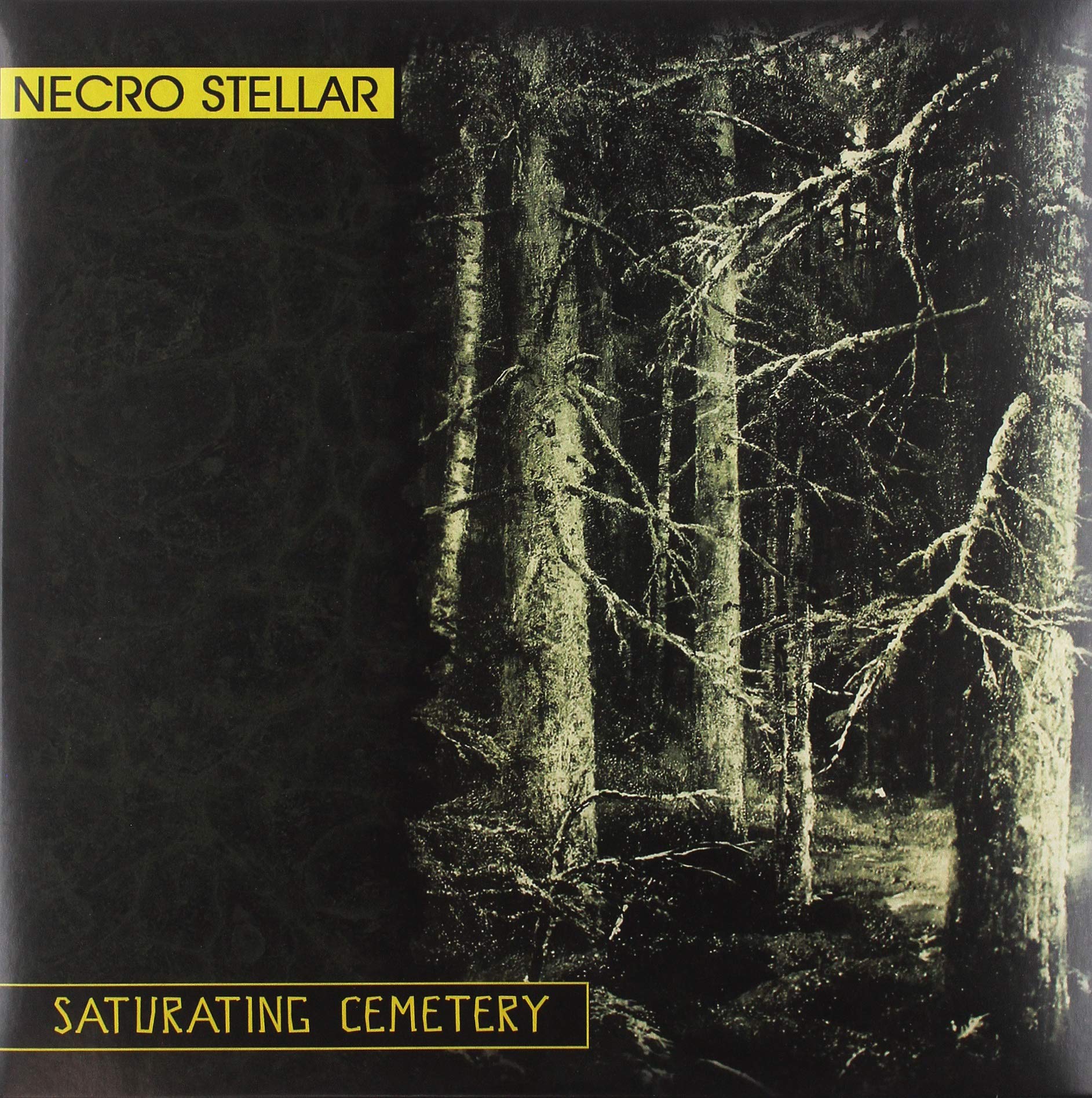 Saturating Cemetry