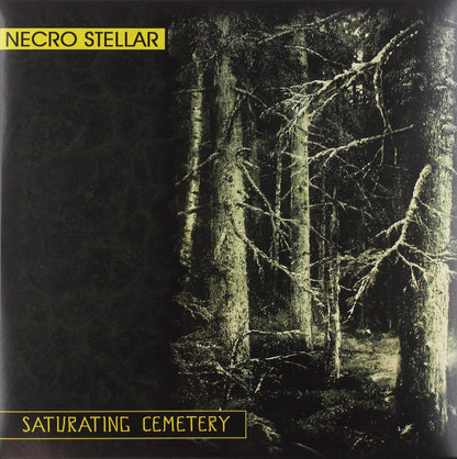 Saturating Cemetry