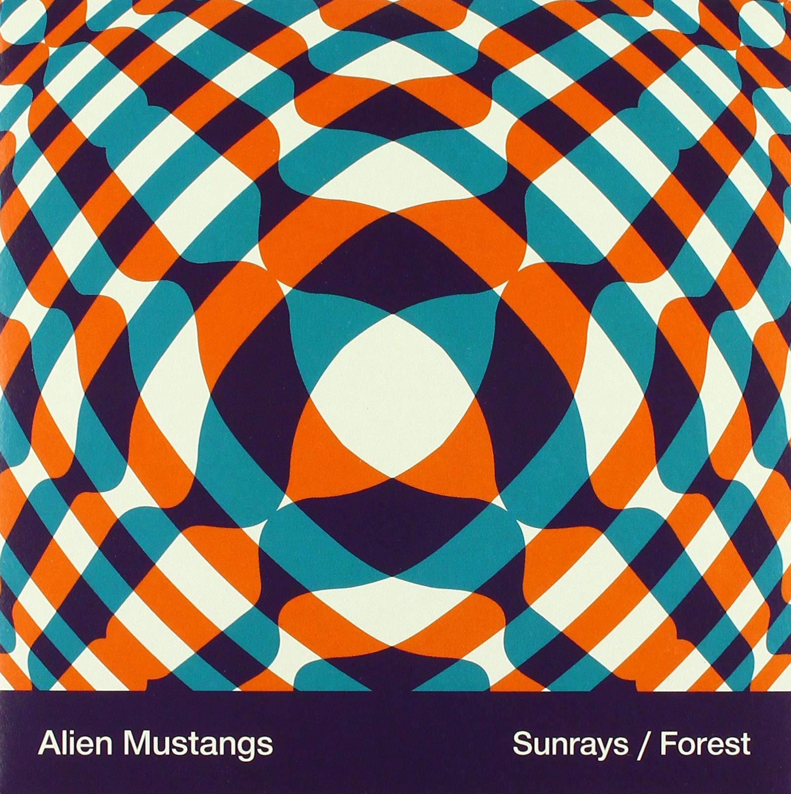 Sunrays/Forest