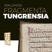 Psallentes & Hendrik Vanden Abeele - Fragmenta Tungrensia