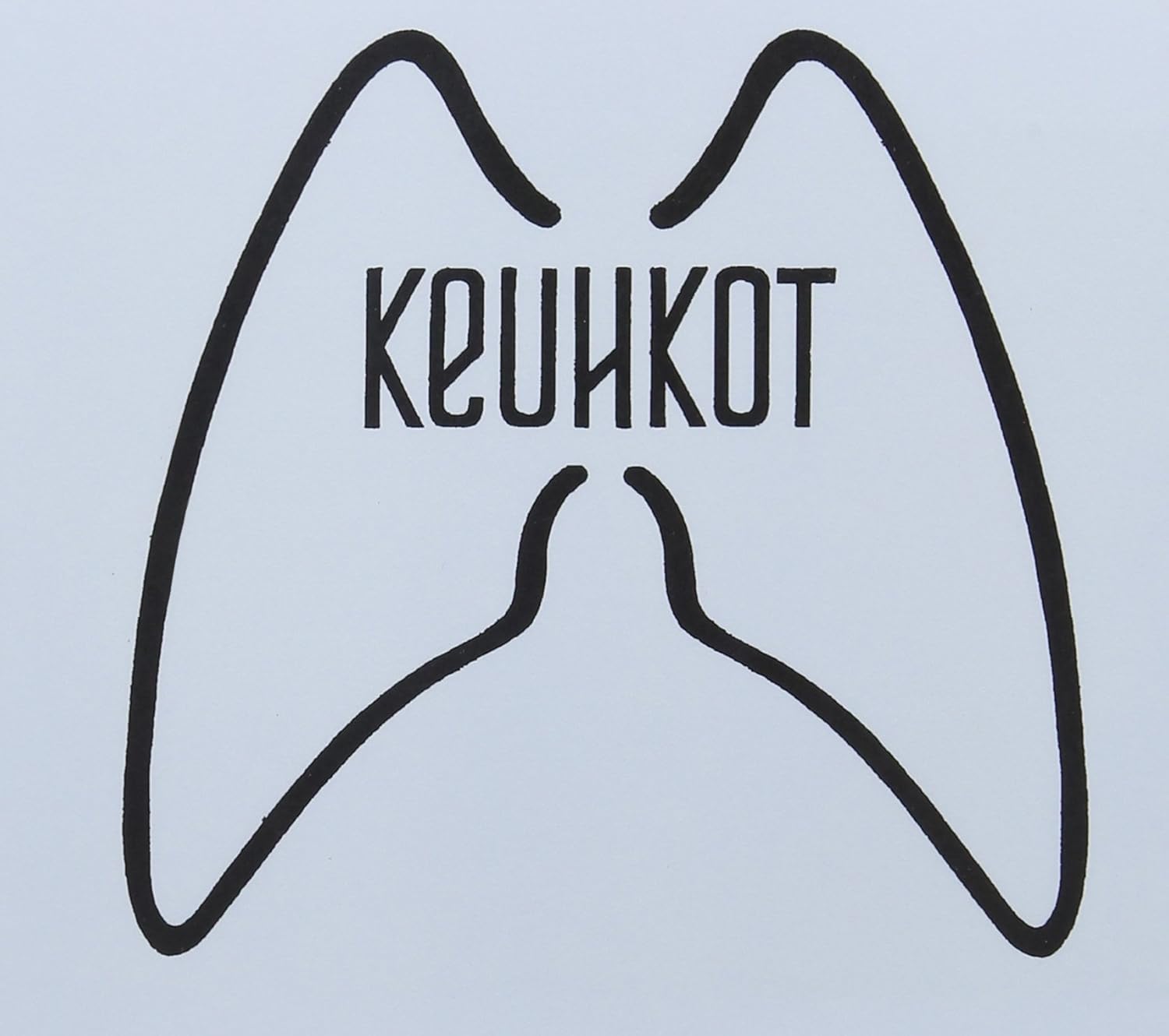 Laskeutumisalusastia