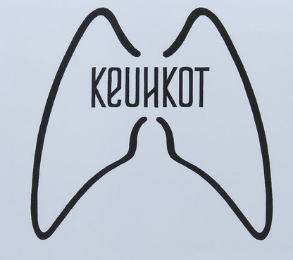 Laskeutumisalusastia