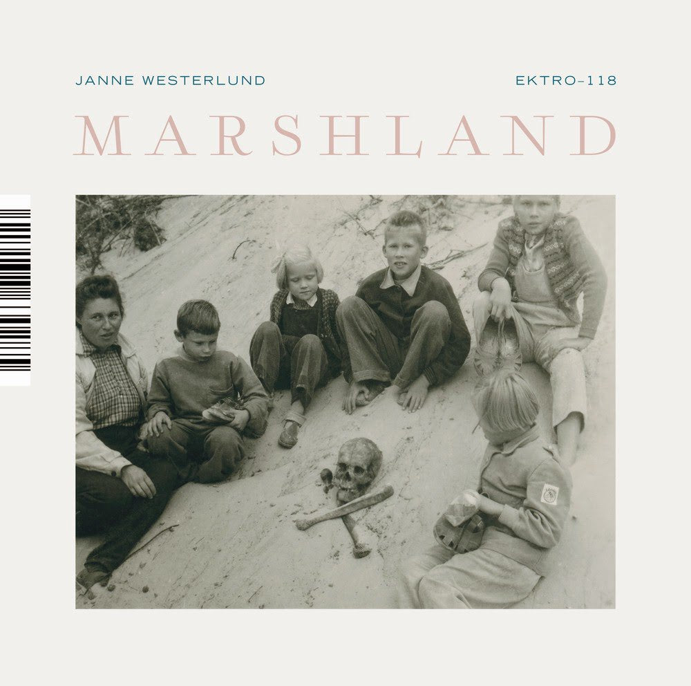 Marshland