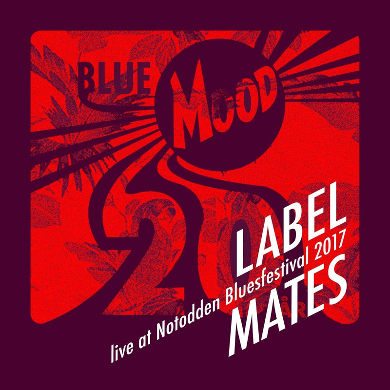 Various - Live At Notodden Blues Festival (20