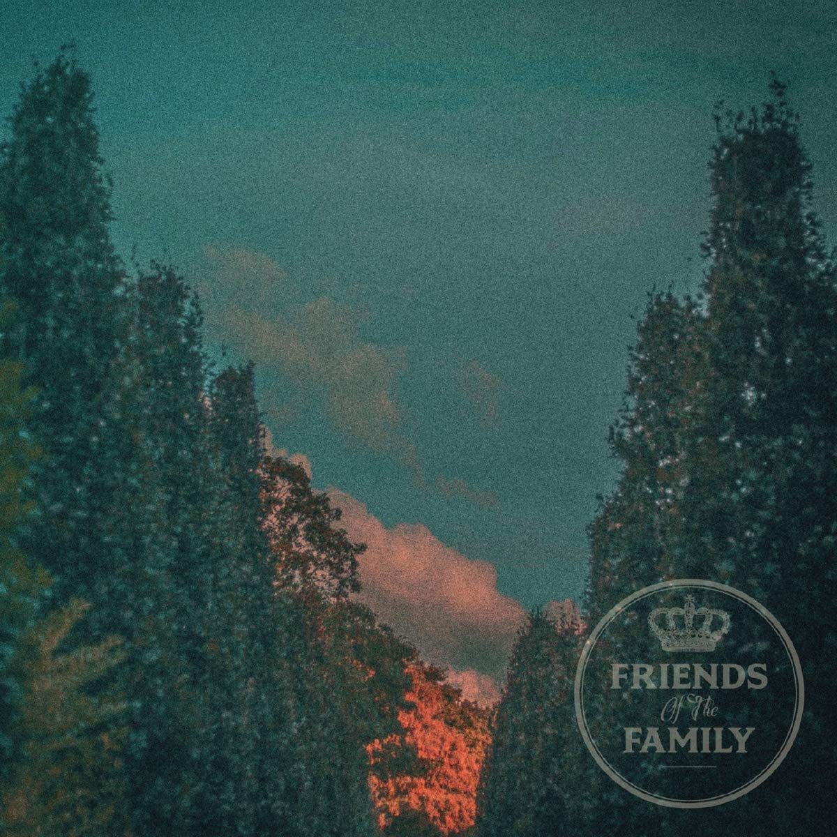 Friends Of The Family - Friends Of The Family