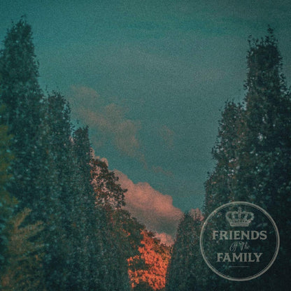 Friends Of The Family - Friends Of The Family