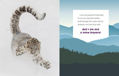 I Am Not a Snow Leopard